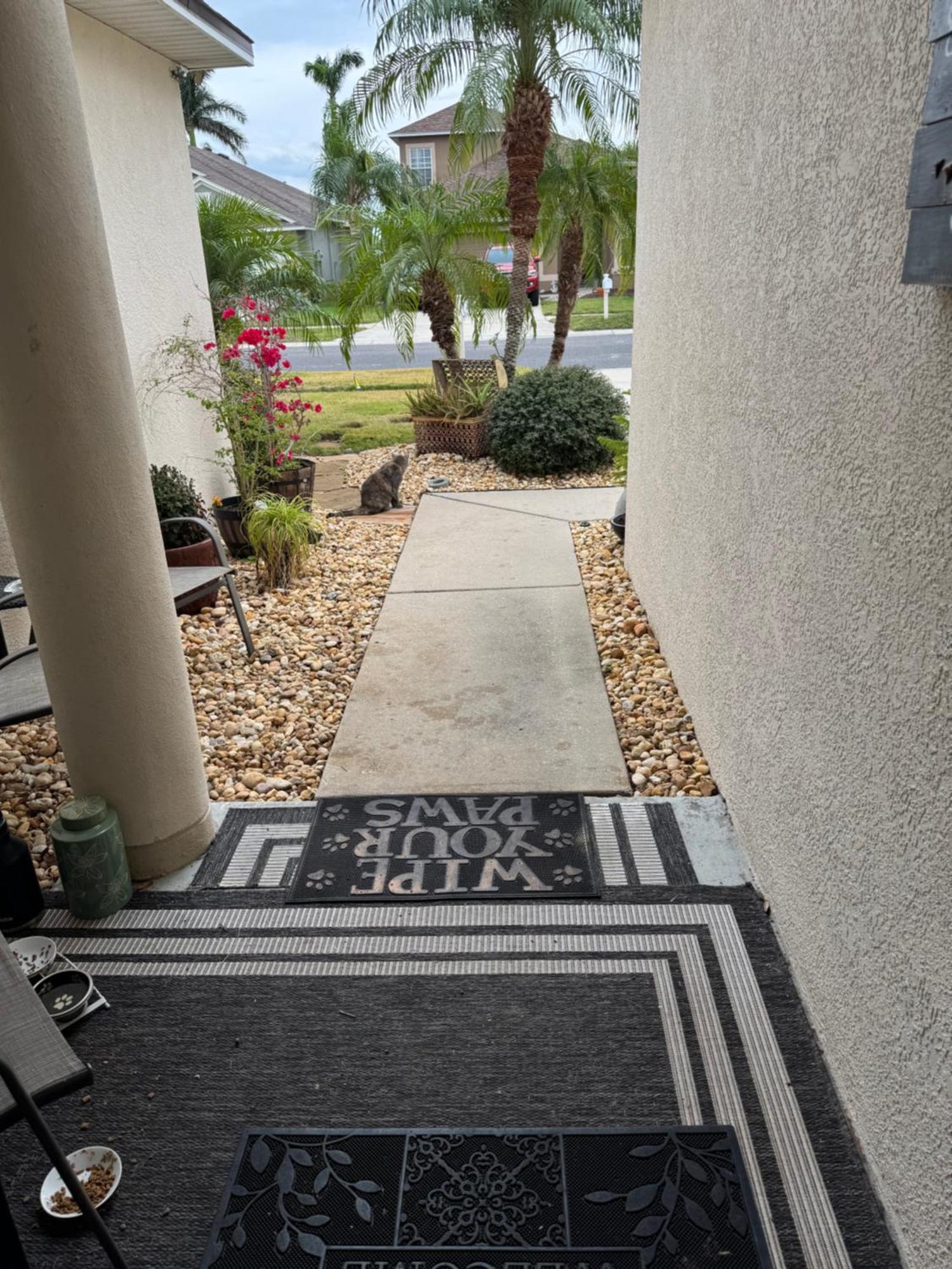Ruskin Fl Private 2 Bdrm 1 Bath Suite Common Areas Shared With Host And Cat מראה חיצוני תמונה